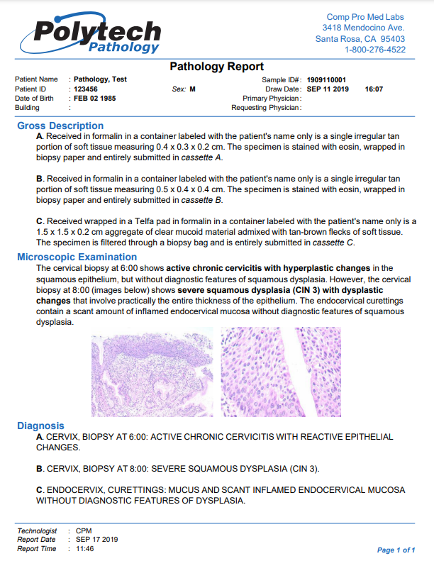Anatomical Pathology Sample Report