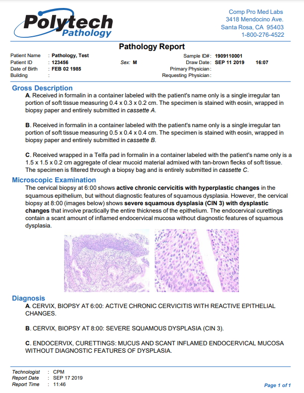 various pathology lab reports assignment slideshare