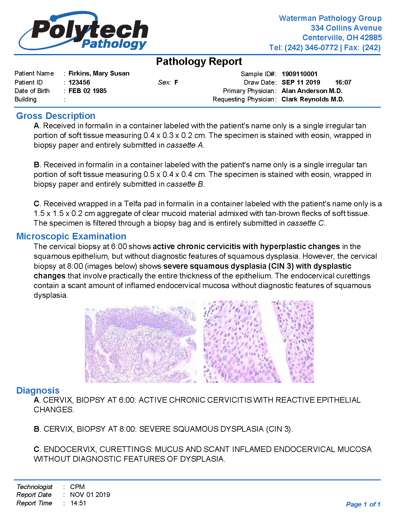 Example Pathology Report