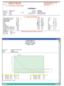 Veterinary Report Examples